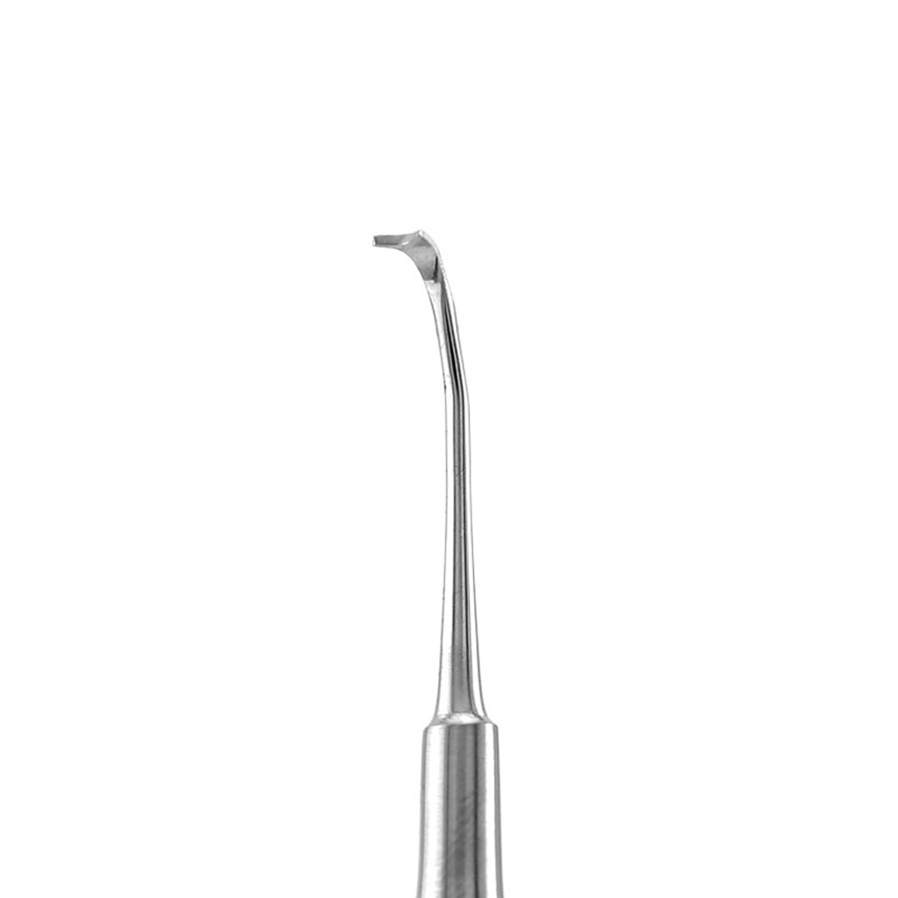 Buy GDC Supra Gingival Scaler Single End (SB6) Online at Best Price ...